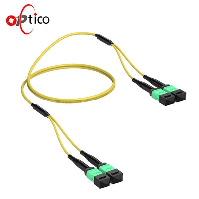 24Ф МПО кабл пртљажника ОС2 Женски 2 × 12
